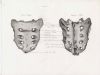 sacrum